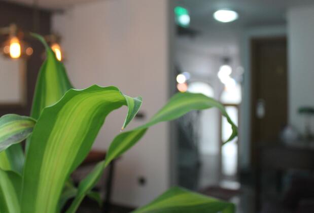 Xenia Hotel İstanbul - Görsel 10