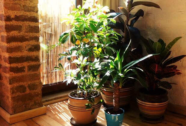 Kunterbunt Aparts İstanbul - Görsel 9