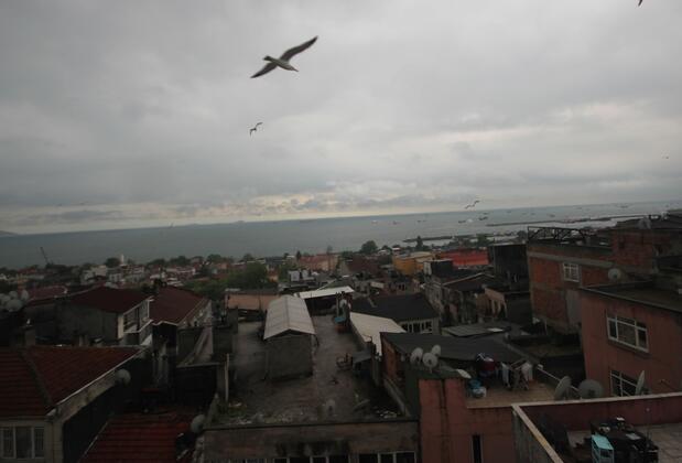 Mini House - Görsel 22