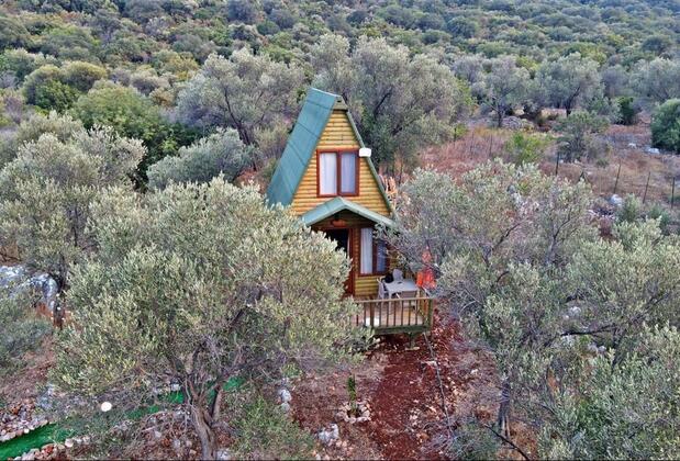 Kaş History Limanağzı - Görsel 5