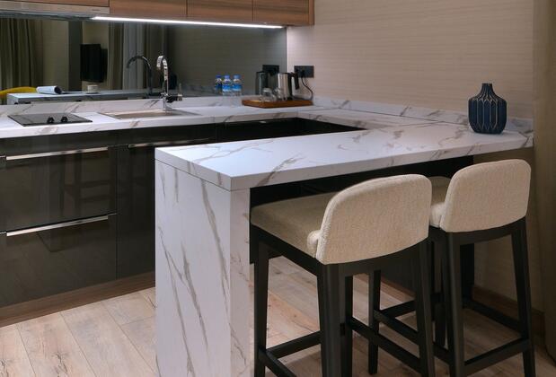 Nish Palace Exclusive Suites - Görsel 32