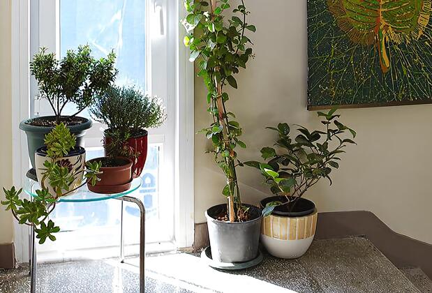 Maproom Hotel - Görsel 4