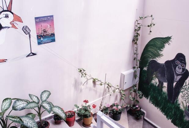 Puffin Hostel - Görsel 20