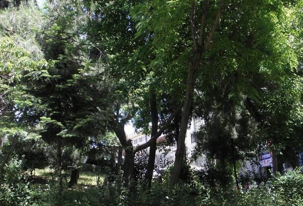 Omar Sultan Suites - Görsel 4