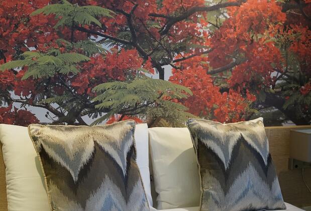 Riva's Moda - Görsel 26