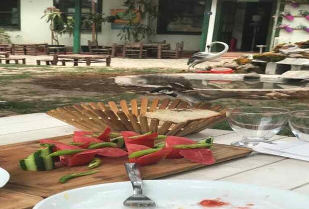  Sünnnet Gölü Doğal Yaşam Oteli ve Restuarant - Görsel 7