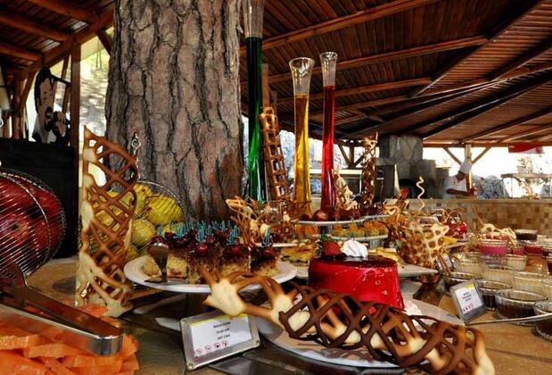 TUI Magic Life Sarıgerme - Görsel 9