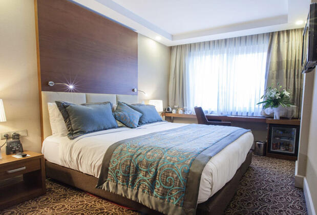 New Park Hotel - Görsel 13