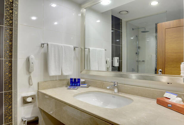 New Park Hotel - Görsel 18