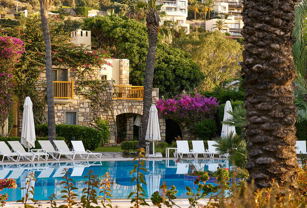 Divan Bodrum - Görsel 5