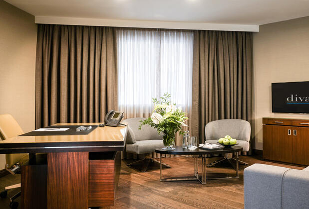 Divan Ankara - Görsel 3