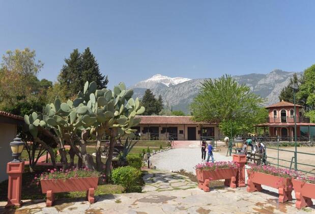 Hotel Berke Ranch & Nature - Görsel 4