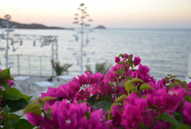 Nomia Boutique Hotel - Görsel 28