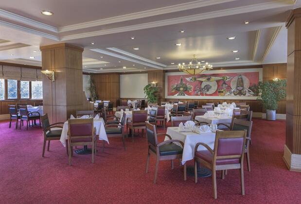 Polat Palandöken - Görsel 11