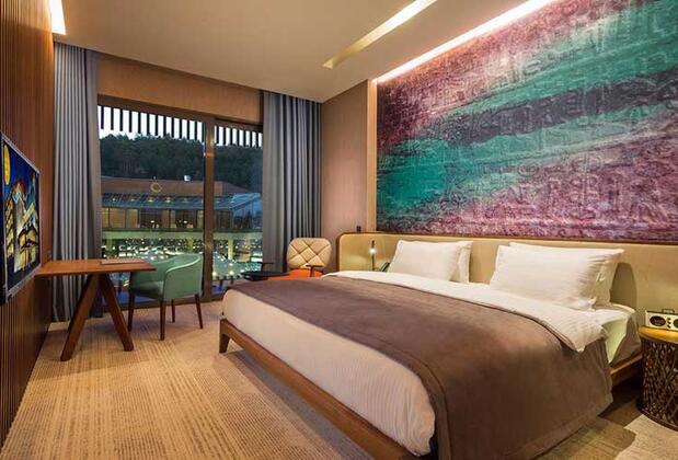 Tasigo Hotels Eskişehir Bademlik Termal Hotel - Görsel 42