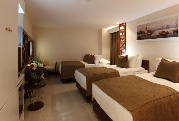 Victory Hotel & Spa İstanbul - Görsel 8