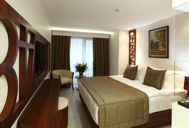 Victory Hotel & Spa İstanbul - Görsel 7