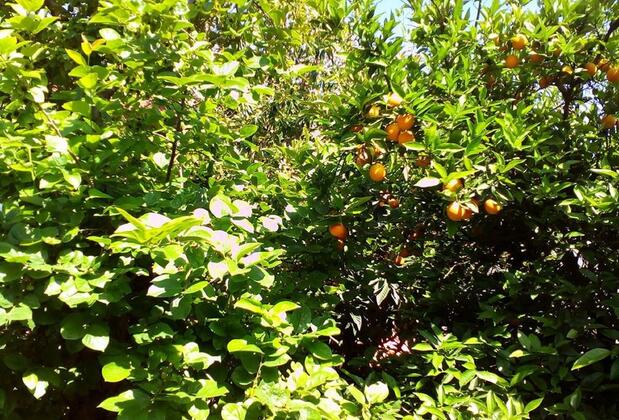 Hellen Hotel Side - Görsel 9