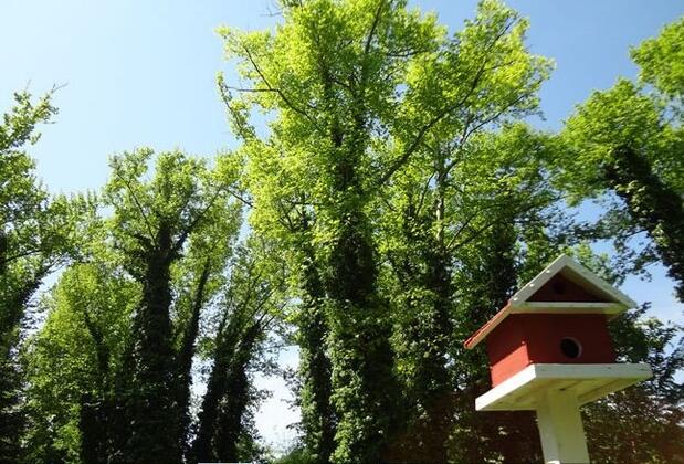 Yüzüncüyıl Ecopark Otel - Görsel 3