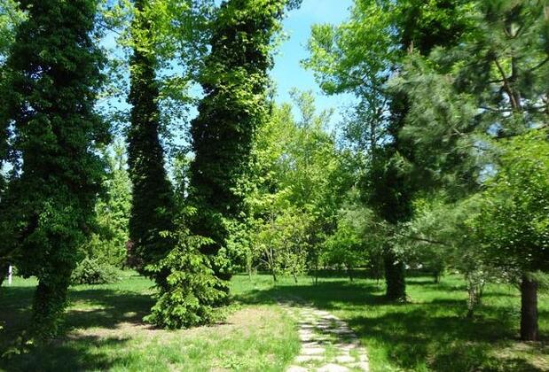 Yüzüncüyıl Ecopark Otel - Görsel 4