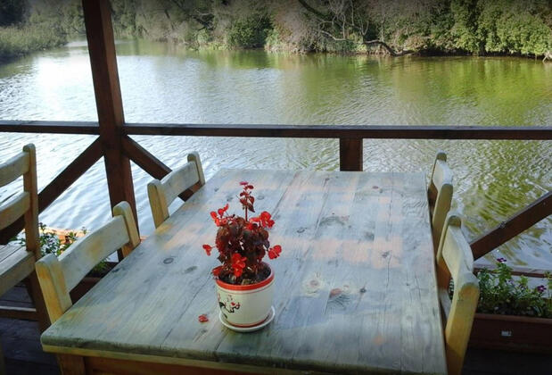 Vira Creek House - Görsel 8