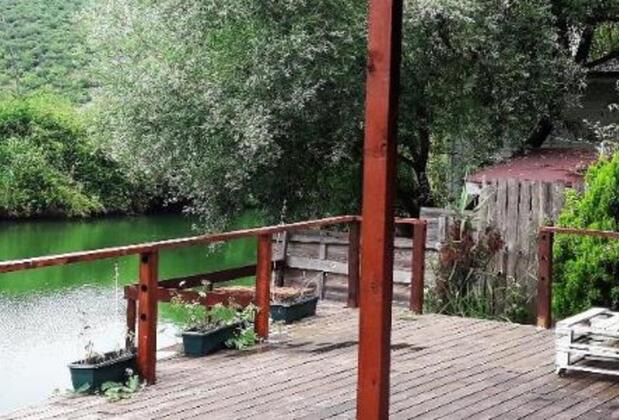 Vira Creek House - Görsel 4