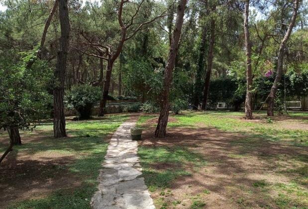 Club Festival Tekirova - Görsel 5