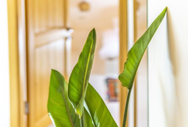 BO Alaçatı Butik Otel - Görsel 20