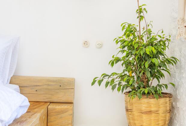 BO Alaçatı Butik Otel - Görsel 21