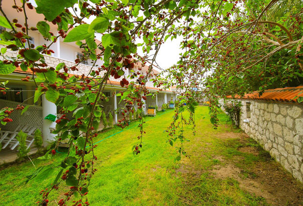 Alasonya Otel Alaçatı By Lamira - Görsel 9
