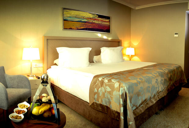 Ramada Plaza By Wyndham Kahramanmaraş - Görsel 20