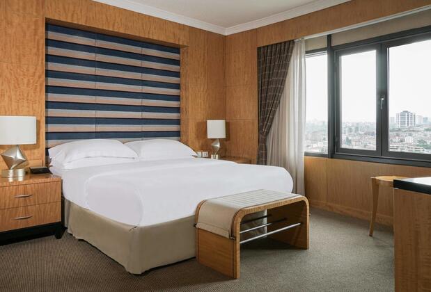 Sheraton Ankara Hotel & Convention Center - Görsel 29