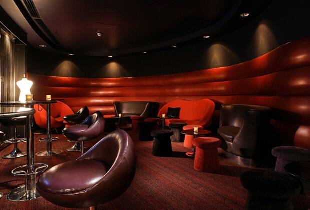 Sheraton Ankara Hotel & Convention Center - Görsel 20