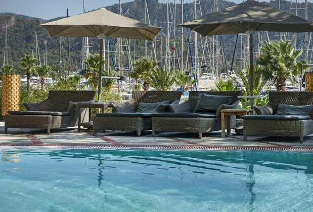 Martı Hemithea - Görsel 9