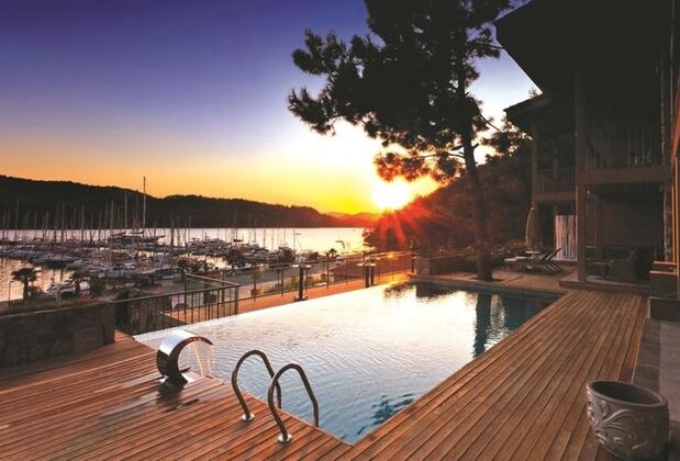 Martı Hemithea - Görsel 10