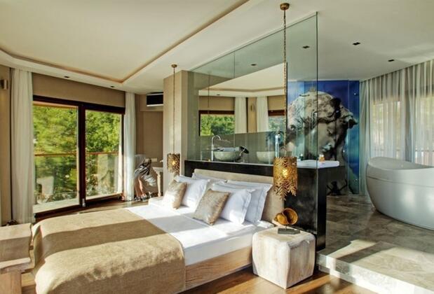 Martı Hemithea - Görsel 13