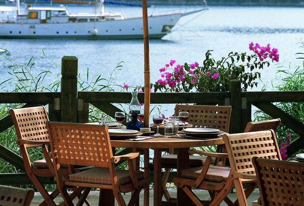 Martı Hemithea - Görsel 38