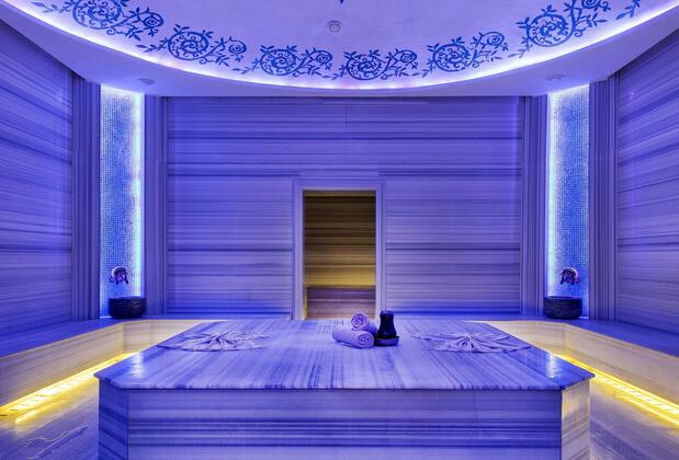 Martı Hemithea - Görsel 40