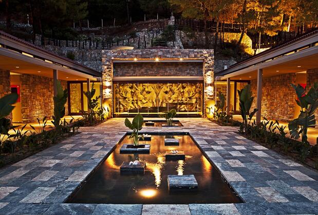 Martı Hemithea - Görsel 41