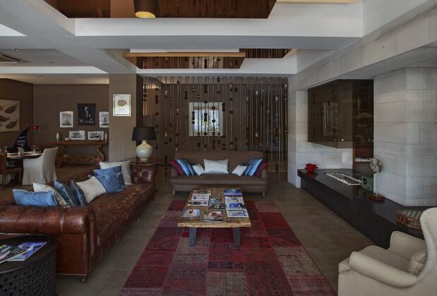 Martı Hemithea - Görsel 43