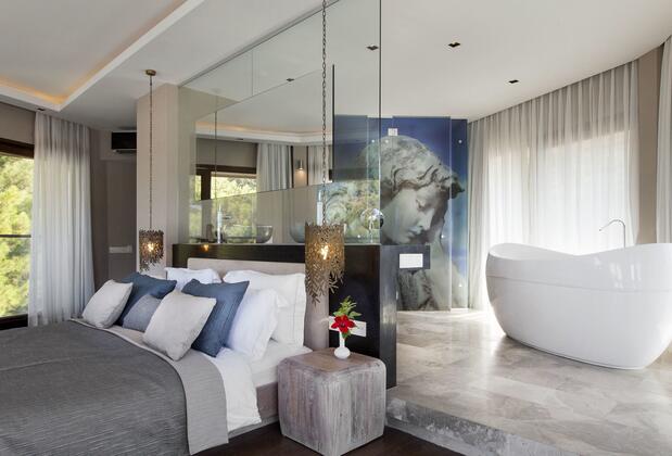 Martı Hemithea - Görsel 23