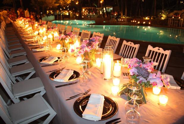 Martı Hemithea - Görsel 45