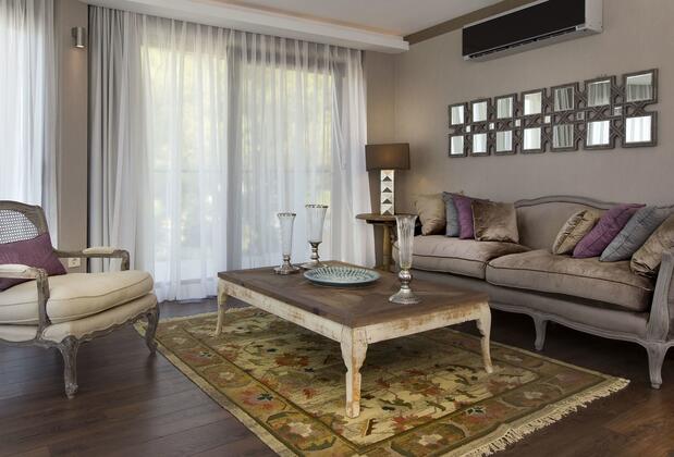 Martı Hemithea - Görsel 33