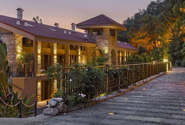 Martı Hemithea - Görsel 47