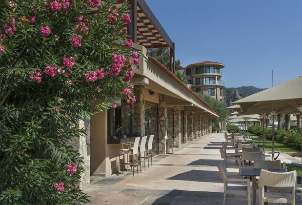 Martı Hemithea - Görsel 48