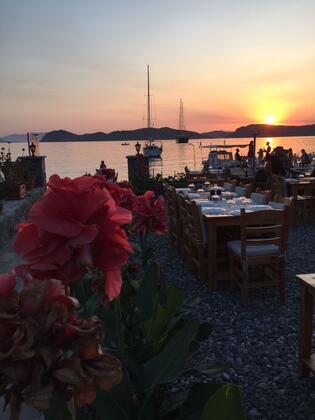 Söğüt Nautilus Pansiyon - Görsel 5