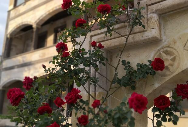 Peace Stone House - Görsel 35