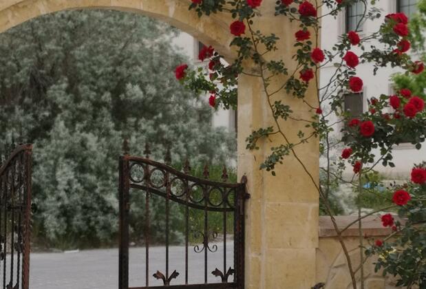 Peace Stone House - Görsel 36