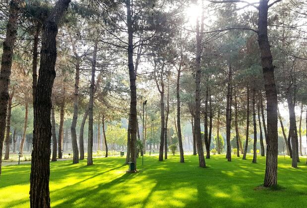 IC Hotels Airport - Görsel 10