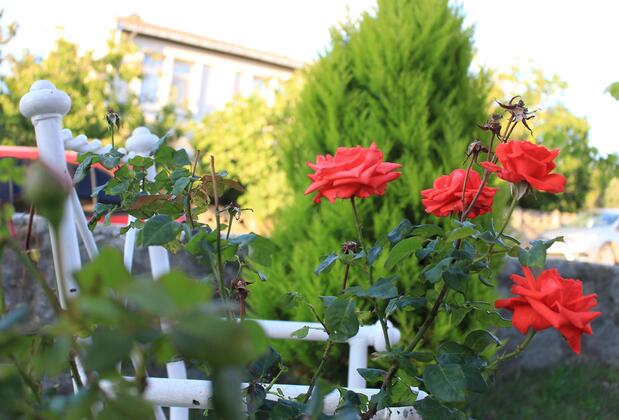 Rumeli Apart Hotel - Görsel 9